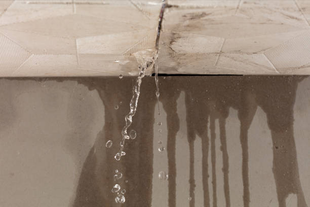 Professional Flood Damage Cleanup technician working in Johnston, SC